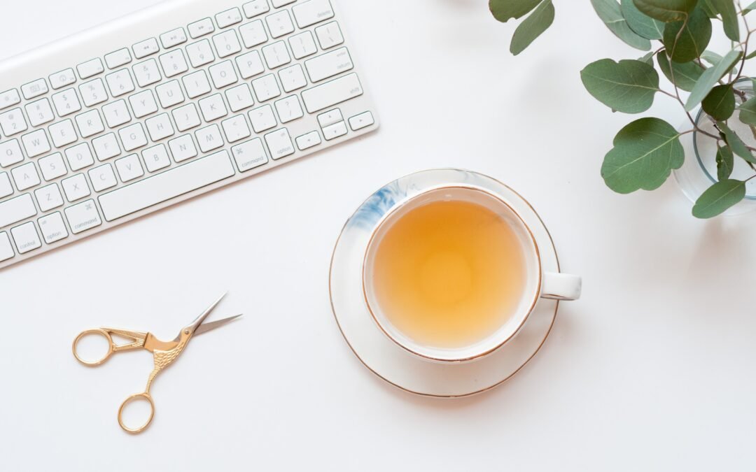 Jak wygląda PIERWSZE SPOTKANIE DOTYCZĄCE  PROJEKTU OGRODU?