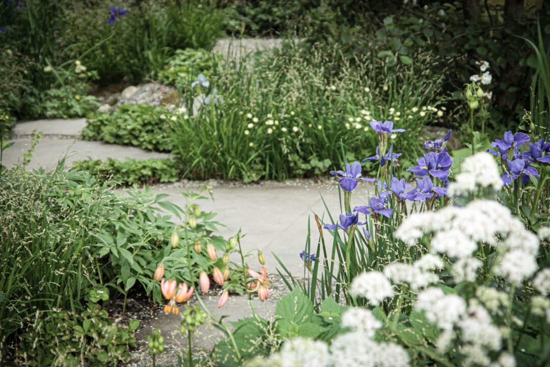 marzewska projektowanie ogrodów