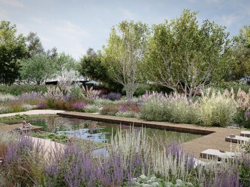 NATURALISTYCZNY OGRÓD ZE STAWEM